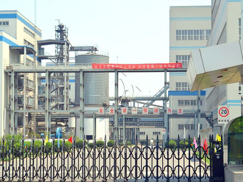 葵花籽脱蜡生产线